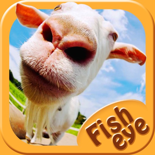 Fish Eye Camera - Selfie Photo Editor with Lens, Color Filter Effects app reviews download
