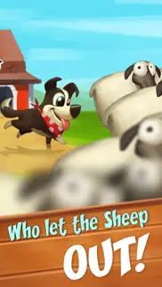 sheep dog iphone images 3