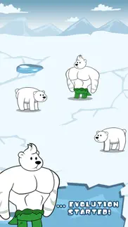 polar bear evolution iphone images 1