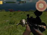 sniper bear hunting 3d ipad images 4