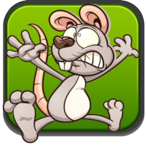 Mouse Cheese Run app reviews download