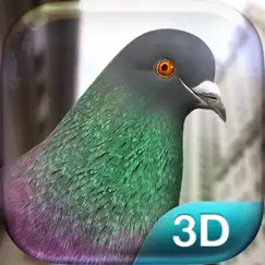 pigeon simulator обзор, обзоры