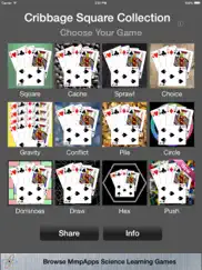 cribbage square collection ipad images 1