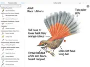 the michael morcombe and david stewart eguide to the birds of australia lite ipad images 2