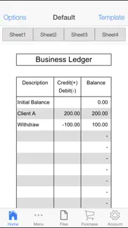 business ledger iphone images 1