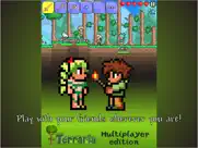 multiplayer terraria edition ipad images 1