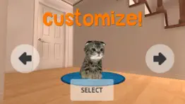 cat simulator hd iphone images 4
