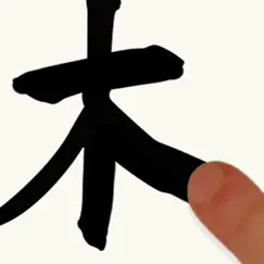 chinese writing practice logo, reviews