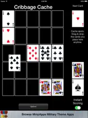 cribbage square collection ipad images 3