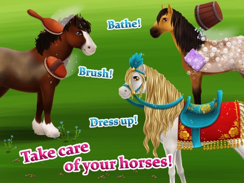 princess horse club - royal pony spa, makeover and carriage decoration ipad images 2