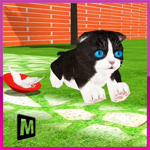 Crazy Kitty Cat Madness 3D app reviews download