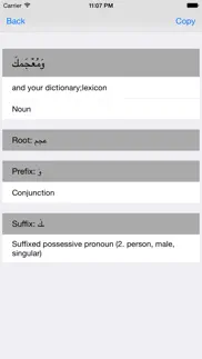 aratools arabic-english dictionary iphone resimleri 3