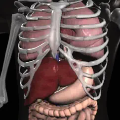 Anatomy 3D - Organs Обзор приложения