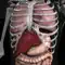 Anatomy 3D - Organs anmeldelser