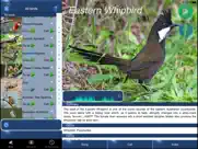 bird song id australia - automatic recognition ipad images 2