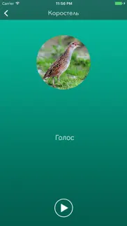 Охотничий манок на боровую и луговую птицу айфон картинки 3