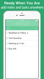 todo list - capture all you have to do iphone images 1