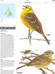 eguide to british birds ipad images 3