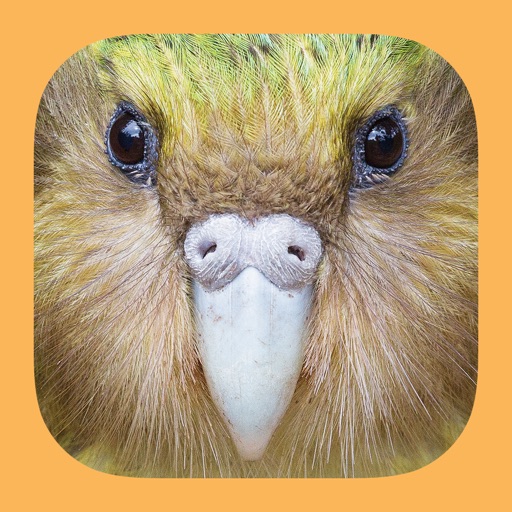 Birds of New Zealand app reviews download