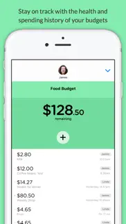 pennies mini - share budgets with your friends айфон картинки 3