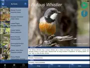 bird song id australia - automatic recognition ipad images 3