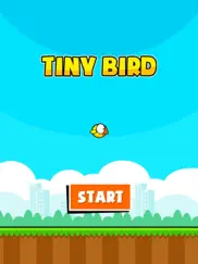 tiny bird - the adventure ipad resimleri 1