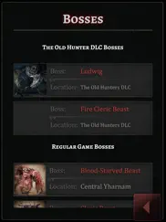 game guide for bloodborne ipad images 4