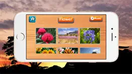 jigsaw puzzle australia learning game for children iphone images 3