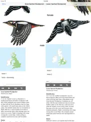 eguide to british birds ipad images 4