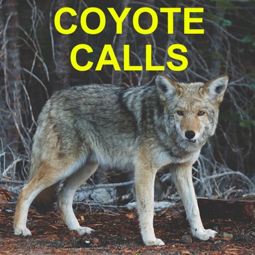Coyote Calls for Predator Hunting Coyote app reviews download