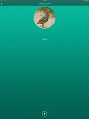 Охотничий манок на боровую и луговую птицу айпад изображения 3