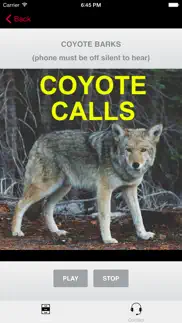 coyote calls for predator hunting coyote iphone images 1