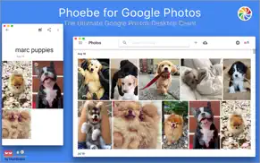 phoebe for google photos iphone images 1
