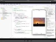app development course for ios ipad capturas de pantalla 1