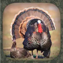 turkey hunting calls logo, reviews