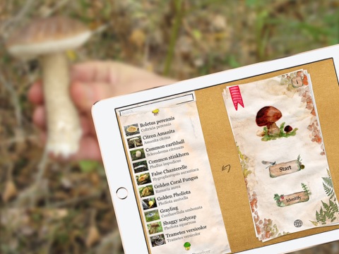 le guide des champignons pro iPad Captures Décran 1