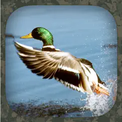 duck hunting calls logo, reviews