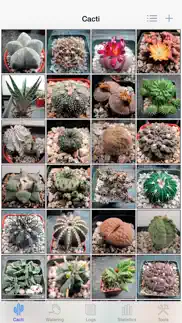 cactus album iphone images 1