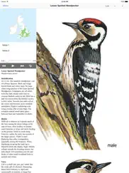 eguide to british birds ipad images 1