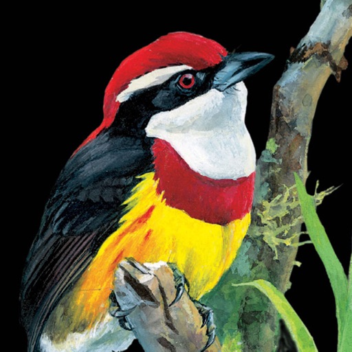 Birds of Peru app reviews download
