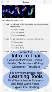 talking thai <> english dictionary+phrasebook iphone images 3