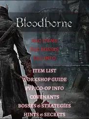 game guide for bloodborne ipad images 1