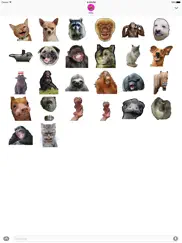animales memes divertidos pegatinas paquete de ime ipad capturas de pantalla 1
