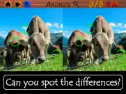 spot the differences - animals ipad images 3