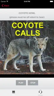coyote calls for predator hunting coyote iphone images 3