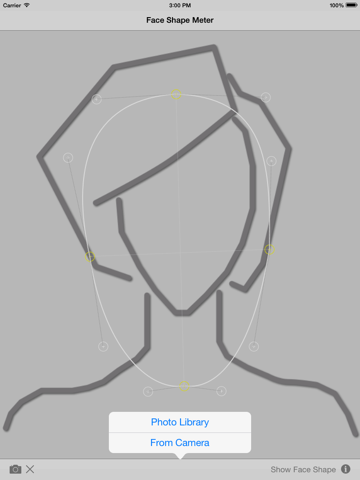 face shape meter - форма лица айпад изображения 2