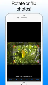 photo crop iphone images 2