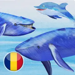 balene si delfini logo, reviews
