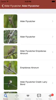 2000 bird species with guides iphone images 3