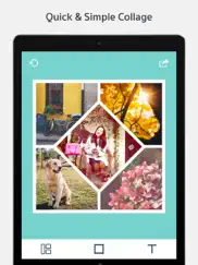 picture frames creator ipad images 1